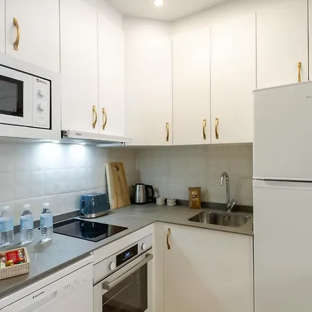 Banus - Centro Edificio Dona Ines Apartment *